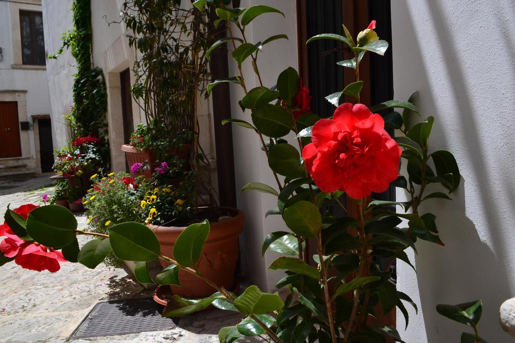 Bed and Breakfast Santo Stefano à Putignano Extérieur photo